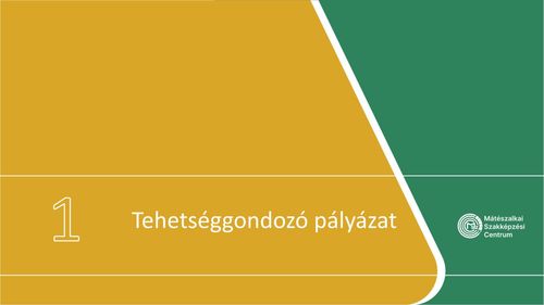 TEHETSÉGGONDOZÓ PÁLYÁZATOT INDÍTOTT A CENTRUM