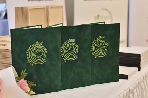 10 ÉVES A MATESZC 👏